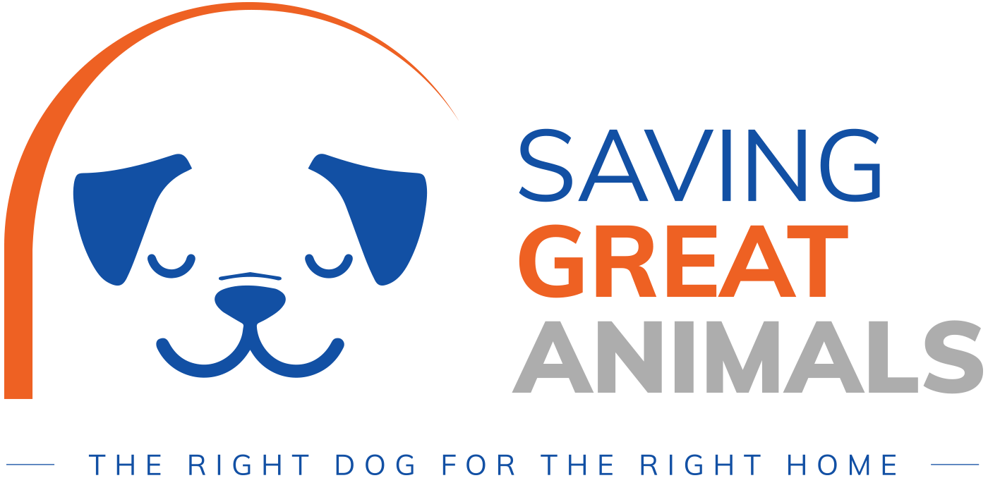 Saving Great Animals – Matching Dogs and Dog Lovers