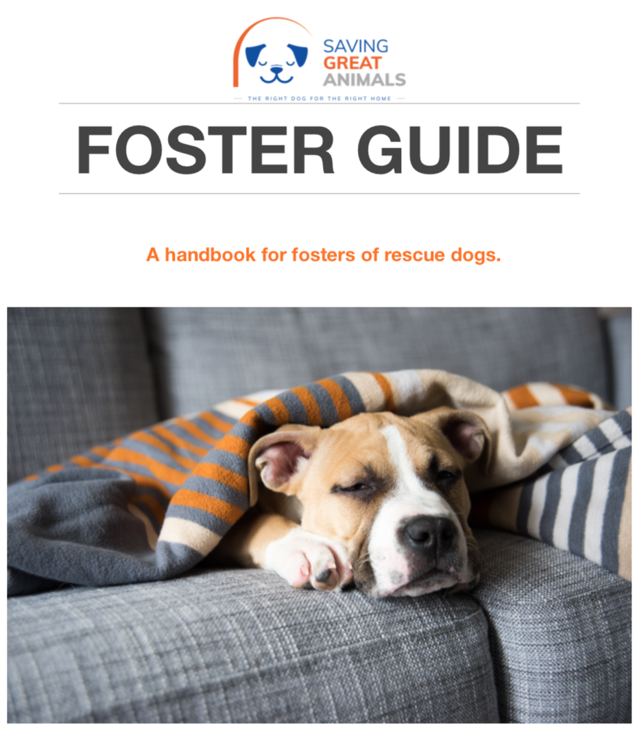 Foster Guide – Saving Great Animals